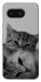 Чохол Grey cats для Google Pixel 8