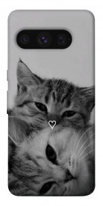 Чехол Grey cats для Google Pixel 8 Pro