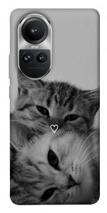 Чехол Grey cats для Oppo Reno10