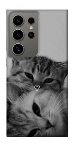 Чохол Grey cats для Galaxy S24 Ultra