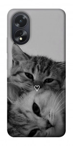 Чехол Grey cats для Oppo A38