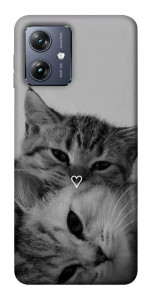 Чохол Grey cats для Motorola Moto G54