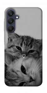 Чехол Grey cats для Galaxy A25 5G