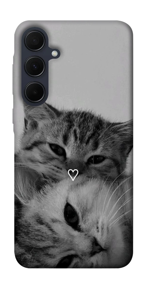 Чохол Grey cats для Galaxy A55