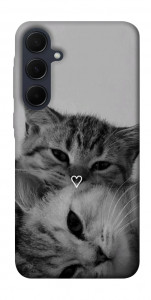 Чохол Grey cats для Galaxy A55