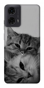 Чехол Grey cats для Motorola Moto G24