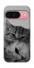 Чохол Grey cats для Google Pixel 9