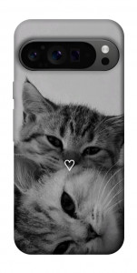 Чохол Grey cats для Google Pixel 9 Pro