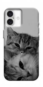 Чехол Grey cats для iPhone 16