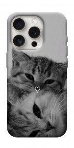 Чохол Grey cats для iPhone 16 Pro Max