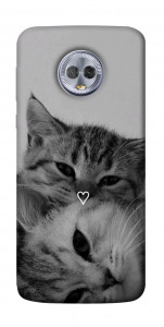 Чохол Grey cats для Motorola Moto G6 Plus
