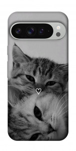 Чохол Grey cats для Google Pixel 9 Pro XL