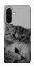 Чехол Grey cats для Galaxy A36 5G