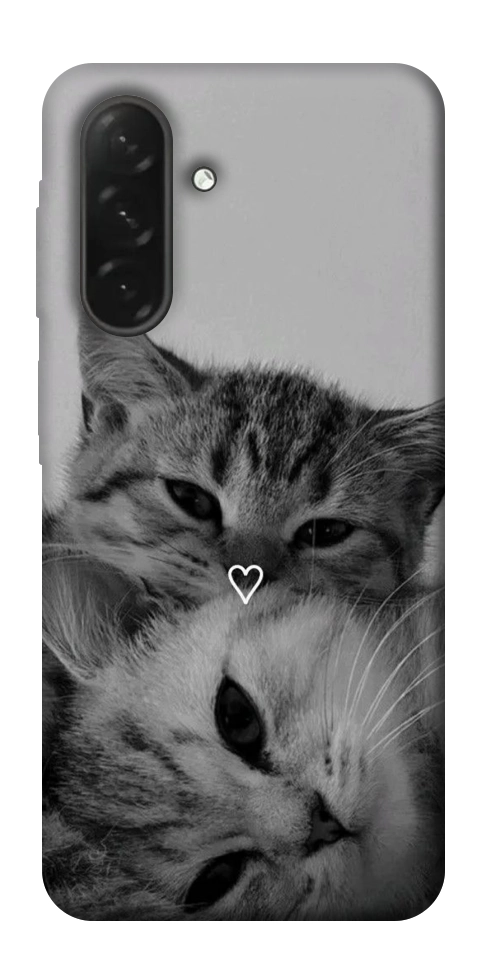 Чохол Grey cats для Galaxy A26 5G