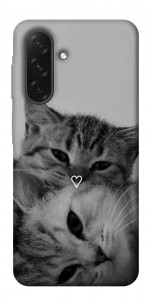 Чехол Grey cats для Galaxy A26 5G