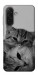 Чохол Grey cats для Galaxy A26 5G