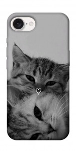 Чохол Grey cats для iPhone 16e