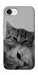 Чехол Grey cats для iPhone 16e