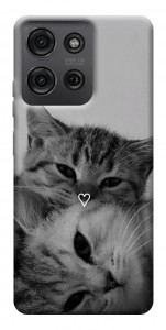 Чехол Grey cats для Motorola Moto G75 5G
