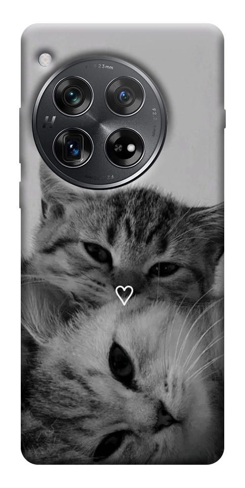 Чохол Grey cats для OnePlus 12