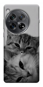 Чехол Grey cats для OnePlus 12
