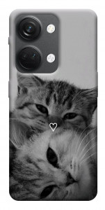 Чохол Grey cats для OnePlus Nord 3