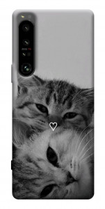 Чехол Grey cats для Sony Xperia 1 IV
