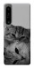 Чехол Grey cats для Sony Xperia 1 IV