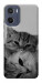 Чехол Grey cats для Motorola Moto G05