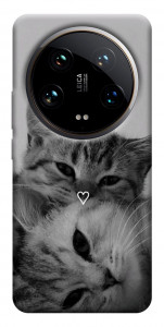 Чохол Grey cats для Xiaomi 14 Ultra