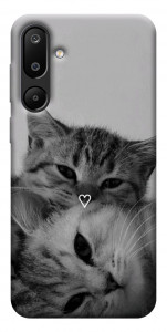 Чохол Grey cats для Galaxy M16 5G