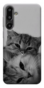Чохол Grey cats для Galaxy F16 5G