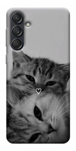 Чехол Grey cats для Galaxy M55