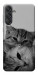 Чехол Grey cats для Galaxy M55