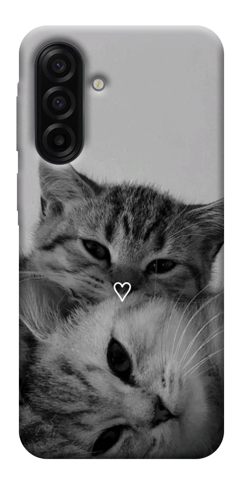 Чохол Grey cats для Galaxy A17 5G