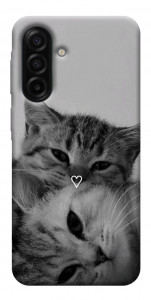 Чохол Grey cats для Samsung Galaxy A17 5G