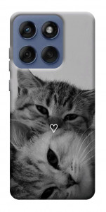 Чохол Grey cats для Motorola Edge 60 Fusion
