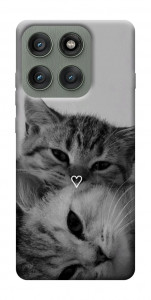Чохол Grey cats для Motorola Edge 60 Pro