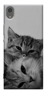 Чехол Grey cats для Sony Xperia XA1