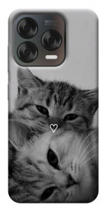 Чохол Grey cats для ZTE Nubia V70 Design
