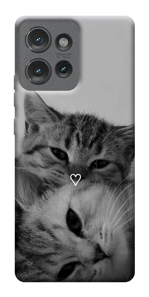 Чехол Grey cats для Motorola Edge 50