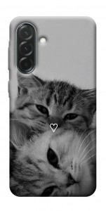 Чохол Grey cats для Galaxy A37 5G
