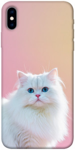 Чохол Pastel kitty для iPhone X