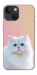 Чехол Pastel kitty для iPhone 13 mini