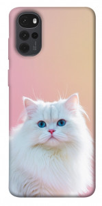 Чохол Pastel kitty для Motorola Moto G22