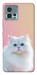 Чохол Pastel kitty для Motorola Moto G72