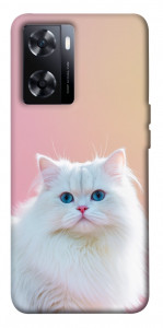 Чохол Pastel kitty для OnePlus Nord N20 SE
