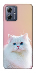 Чохол Pastel kitty для Motorola Moto G54