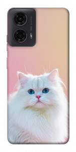 Чохол Pastel kitty для Motorola Moto G04