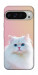 Чохол Pastel kitty для Google Pixel 9 Pro XL
